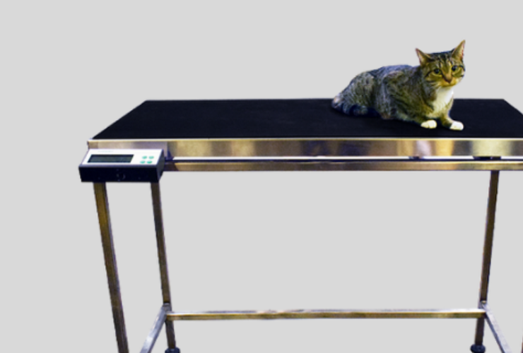 Marsden Launches The VT-250 Veterinary Consulting Table